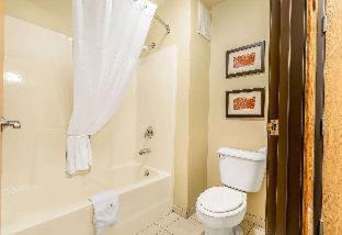 Carbon Cliff Hôtel | Comfort Inn & Suites East Moline near I-80