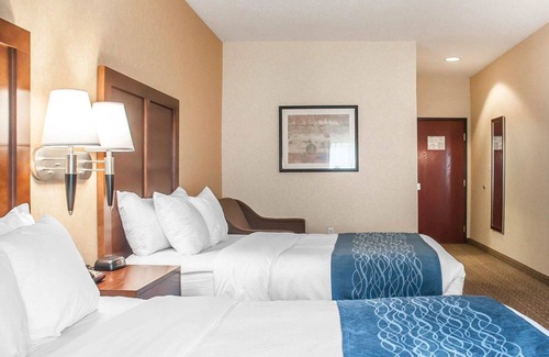 Hamburg Hôtel | Comfort Inn And Suites Hamburg