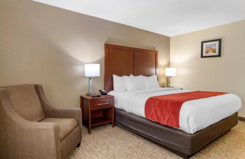 Macon Hôtel | Comfort Inn & Suites Macon North I-75