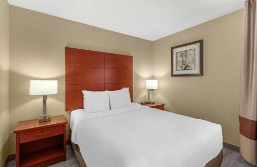Fallon Hôtel | Comfort Inn & Suites Near Fallon Naval Air Station