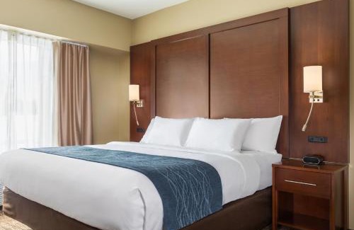 Lincoln Hôtel | Comfort Inn & Suites near Route 66