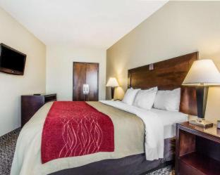 Scottsboro Hôtel | Comfort Inn & Suites Near Lake Guntersville