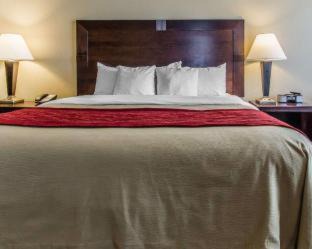 Scottsboro Hôtel | Comfort Inn & Suites Near Lake Guntersville