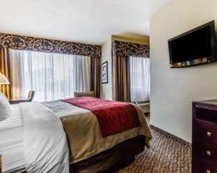 Scottsboro Hôtel | Comfort Inn & Suites Near Lake Guntersville
