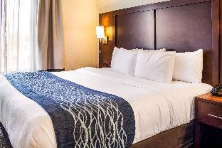 Niagara Falls Hôtel | Comfort Inn & Suites Niagara Falls Blvd USA
