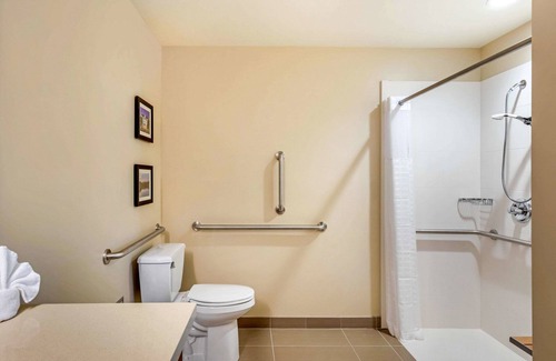 Scotia Hôtel | Comfort Inn & Suites Schenectady - Scotia