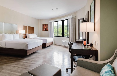Lower Scarborough Hôtel | Comfort Inn & Suites Tobago
