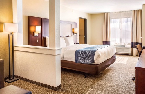 Niagara Falls Hôtel | Comfort Inn & Suites Niagara Falls Blvd USA