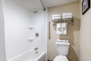 Pinetop-Lakeside Hôtel | Comfort Inn & Suites Pinetop Show Low