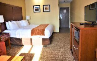 Downtown Vancouver Hôtel | Comfort Inn & Suites Vancouver Downtown City Center