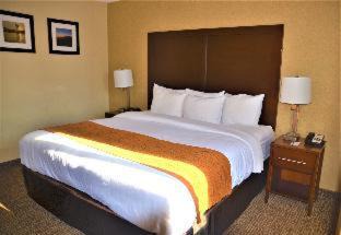 Downtown Vancouver Hôtel | Comfort Inn & Suites Vancouver Downtown City Center