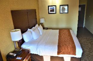 Downtown Vancouver Hôtel | Comfort Inn & Suites Vancouver Downtown City Center