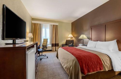 Warren Hôtel | Comfort Inn Warren I-69