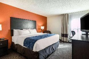 Kalamazoo Hôtel | Comfort Inn Wings Stadium