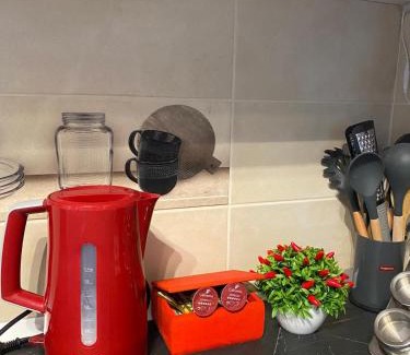 Sfantu Gheorghe Appartement | Comfort Residence Studio