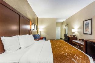 Red Hill Hôtel | Comfort Suites At the University