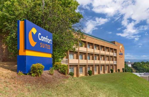 Salem Hôtel | Comfort Suites Inn at Ridgewood Farm