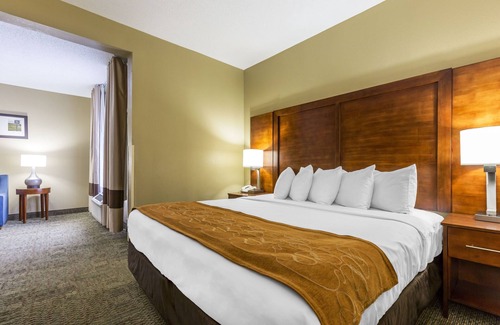 Lansing Hôtel | Comfort Suites, Lansing - Located 30-minute to Chicago Midway Int'l Airport