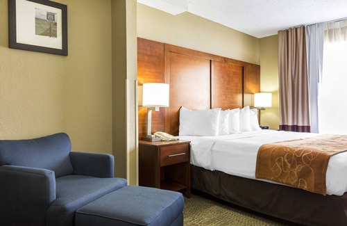 Lansing Hôtel | Comfort Suites, Lansing - Located 30-minute to Chicago Midway Int'l Airport