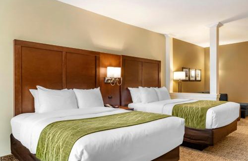 North San Antonio - SAT Hôtel | Comfort Suites San Antonio Ft Sam Houston-SAMMC Area