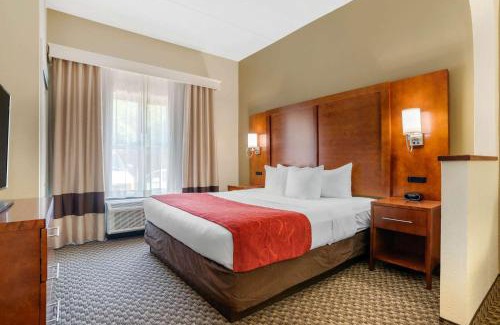 Tallahassee Hôtel | Comfort Suites Tallahassee Capitol - University Area