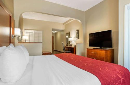 Tallahassee Hôtel | Comfort Suites Tallahassee Capitol - University Area