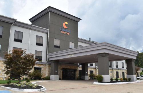 Forrest City Hôtel | Comfort Suites