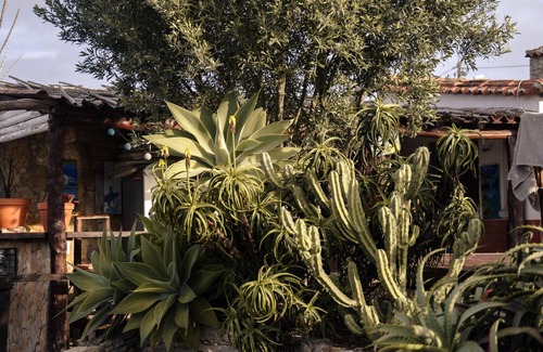 Assafora Appartement | Comfortable, Ground Floor Apartment with Garden View