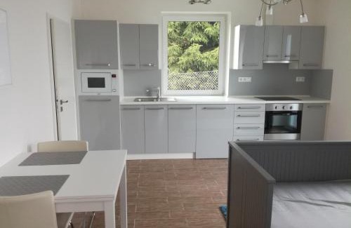 Hnevkovice Maison | Comfortable house for relax and sports
