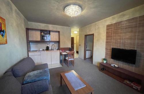 Velka Lomnica Appartement | Comfortable One-Bedroom Apartment TATRAGOLF