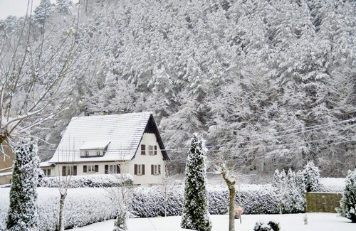 Sturzelbronn Maison | Gite tout confort, calme et indépendant avec piscine et jaccuzi - Vosges du Nord