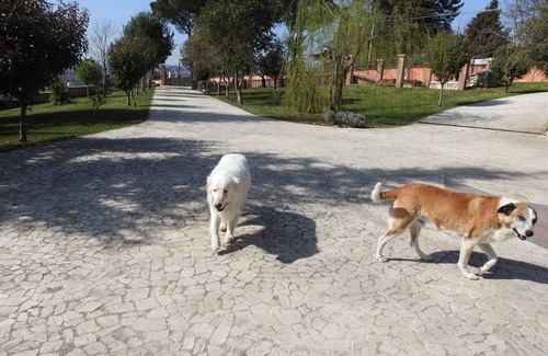 Fara in Sabina Maison | Hébergement touristique confortable dans la basse campagne de Sabina à Passo Corese