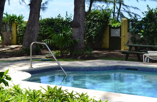 Brighton Appartement | Séjour confortable, tropical, en bord de mer