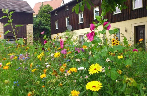 Weißig Appartement | Comfy Apartment in Weißig with Garden