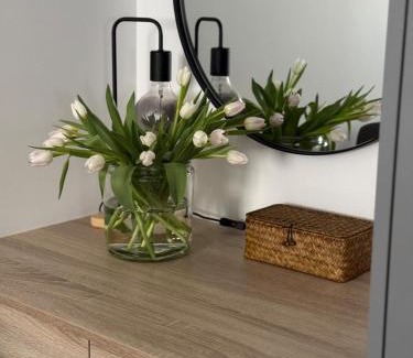 Jelgava Appartement | Comfy Center Apartment