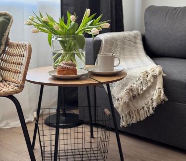 Jelgava Appartement | Comfy Center Apartment
