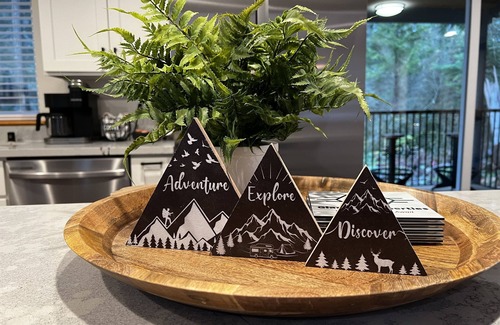 Ashford Cabine | Comfy Family Cabin w/Solo Stove Firepit, EV & Spa!