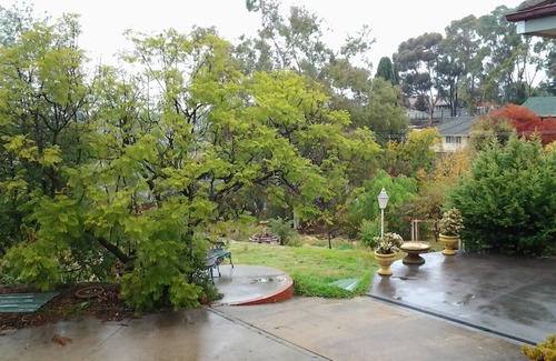 North Bendigo Maison | Compact Bungalow in a peaceful, serene garden.
