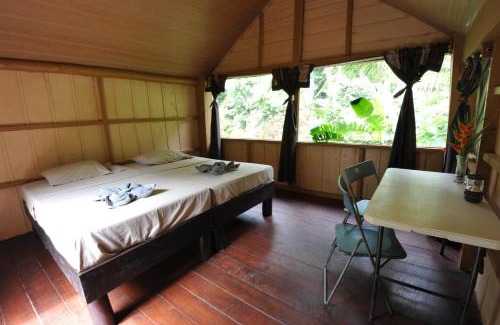 Drake Bay Cabine | Complejo Ecoturistico Tamandua