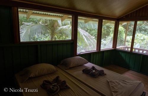 Drake Bay Cabine | Complejo Ecoturistico Tamandua