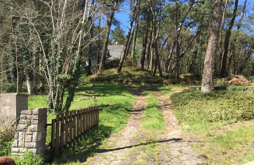 Condette Villa | Condette-Hardelot, villa spacieuse sur une pinède de 3000m2, attenante forêt