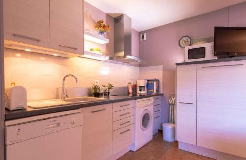 Saint-Lary-Soulan Appartement | Confort et Accès Facile : Proche Télécabine, 2 Chambres - FR-1-296-364