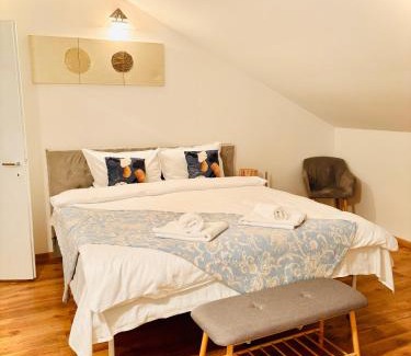Iasi Villa | Confort Luxury Center Villa- langa Mitropolie si Palas