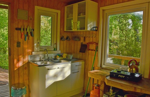 Melipeuco Maison | Conguillio Tiny House Cabaña dans le parc national de Conguillio