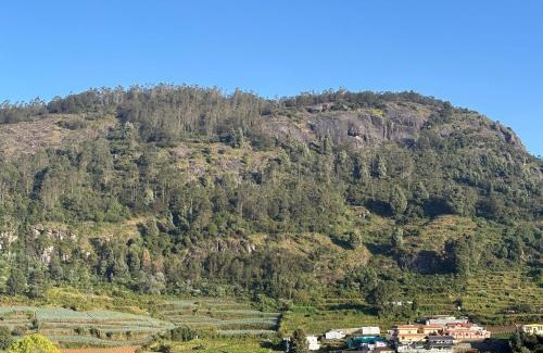 Ooty Maison | Connect cottage & villa