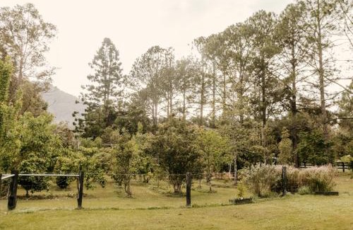 Nimbin Appartement | Contained in Nimbin Accommodation