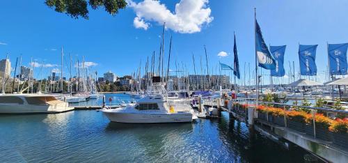 Rushcutters Bay Appartement | Contemporary Harbourside Apartment