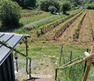 Massillargues-Attuech Appartement | Conteneur avec spa privé face aux vignes
