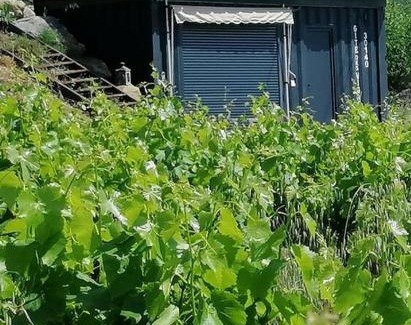 Massillargues-Attuech Appartement | Conteneur avec spa privé face aux vignes