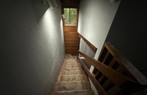 Tallahassee Appartement | Convenient, Cozy, Cheap, Comfortable